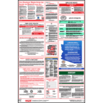 Arizona Labor Law Poster