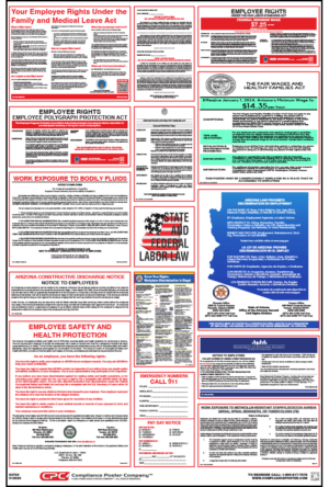 Arizona Labor Law Poster