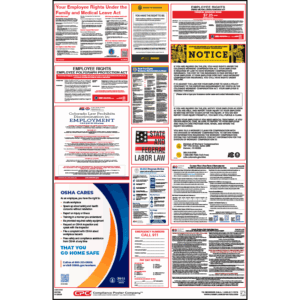 Colorado Labor Law Poster
