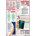 Florida Labor Law Poster