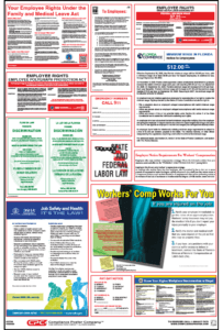 Florida Labor Law Posters - English