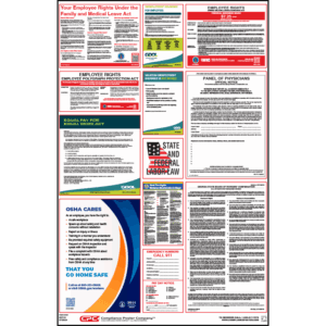 Georgia Labor Law Poster