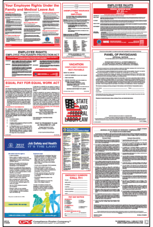 Georgia Labor Law Poster