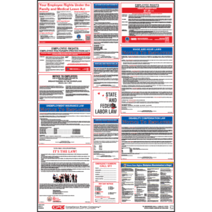 Hawaii Labor Law Posters