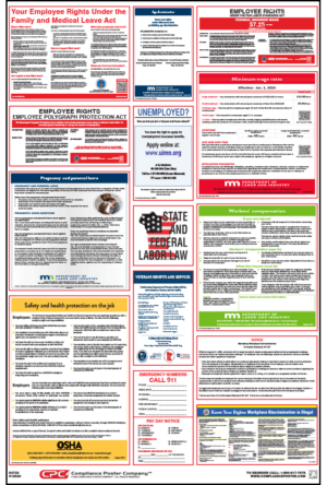 Minnesota Labor Law Poster