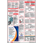 New Hampshire Labor Law Poster