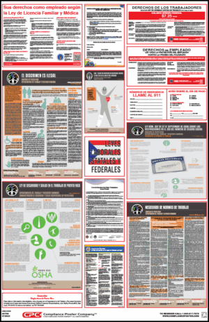 Puerto Rico Labor Law Poster