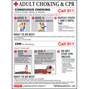 Adult Choke Saving Poster