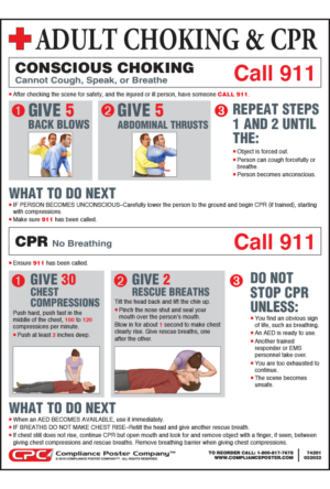 Adult Choke Saving Poster
