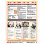 Ergonomics Guidelines Poster
