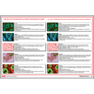 Food-borne Illness Poster