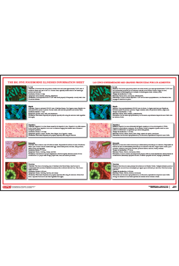 Food-borne Illness Poster