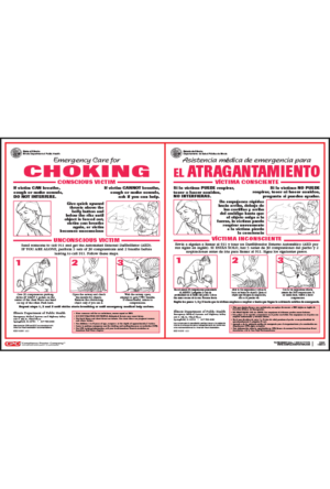 Illinois Emergency Care for Choking Poster