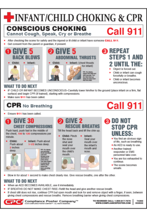 Infant Child Choke Saving CPR Poster