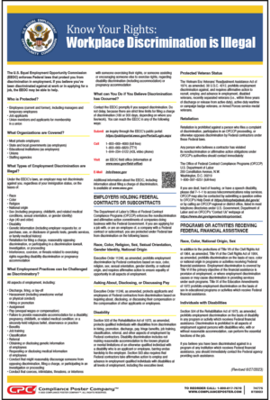 Equal Employment Opportunity Large Print English