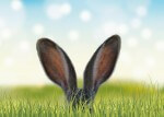 2018 Canadian Labour Law Posters Get an Easter Update