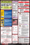New Mexico All-On-One Labor Law Poster