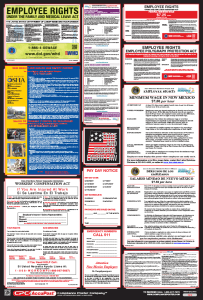 New Mexico All-On-One Labor Law Poster