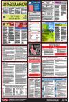 2020 California All-On-One Poster