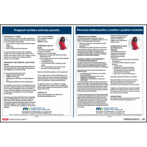 Minnesota Pregnant Workers and New Parents Poster