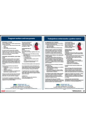 Minnesota Pregnant Workers and New Parents Poster