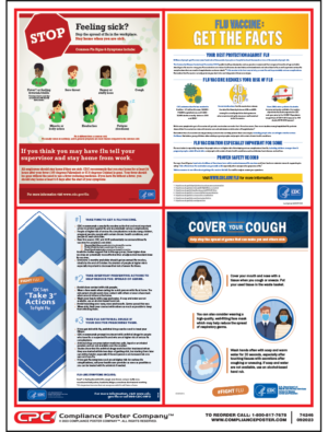 Fighting the Flu Poster