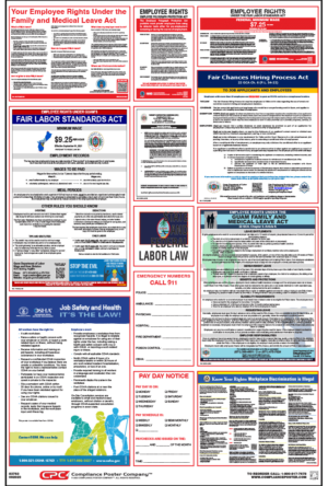 Guam All-On-One™ Labor Law Poster