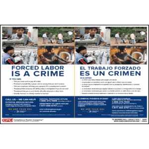 New York Human Trafficking Poster