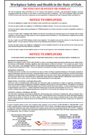 Utah 2025 Safety and Health Peel 'N Post™